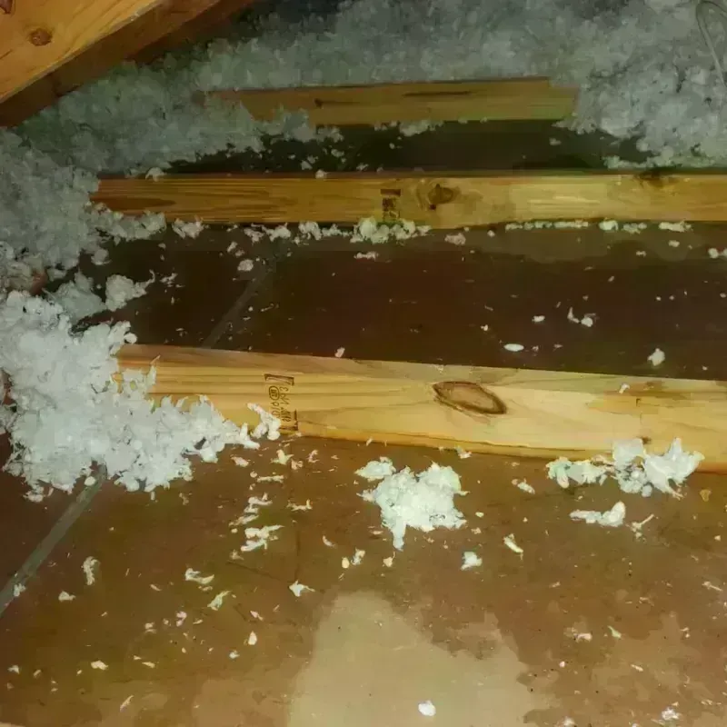 Attic Water Damage in Little River-Academy, TX